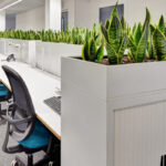 office planter boxes with tambour storage in a bright modern workspace