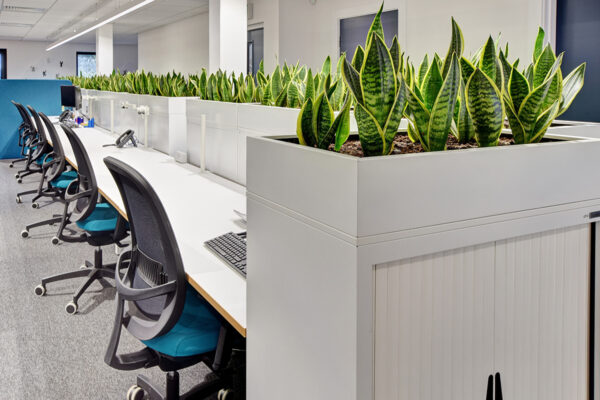 office planter boxes with tambour storage in a bright modern workspace